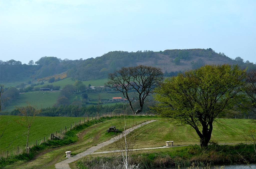 North Yorkshire Moors